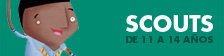 banner_scouts