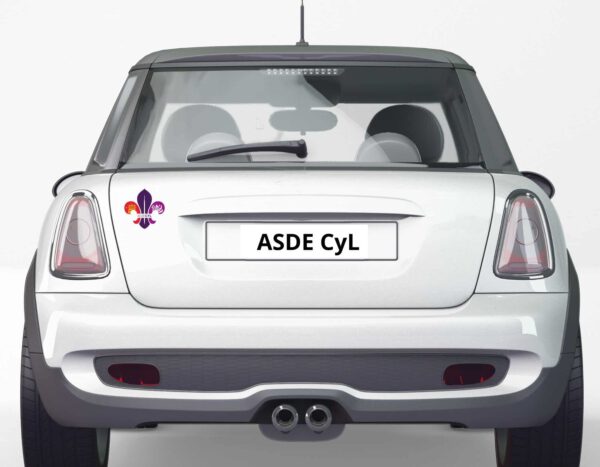 Vinilo coche