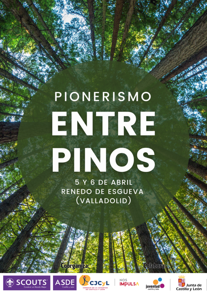 Cartel COORGANIZADO PIONERISMO ENTRE PINOS 2025 Cartel COORGANIZADO PIONERISMO ENTRE PINOS 2025