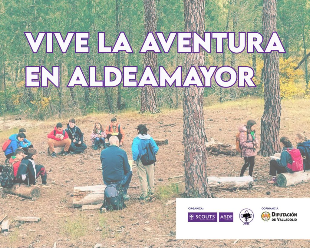 Grupo Scout Pino Carranza 735 - Escultismo en Aldeamayor de San Martín