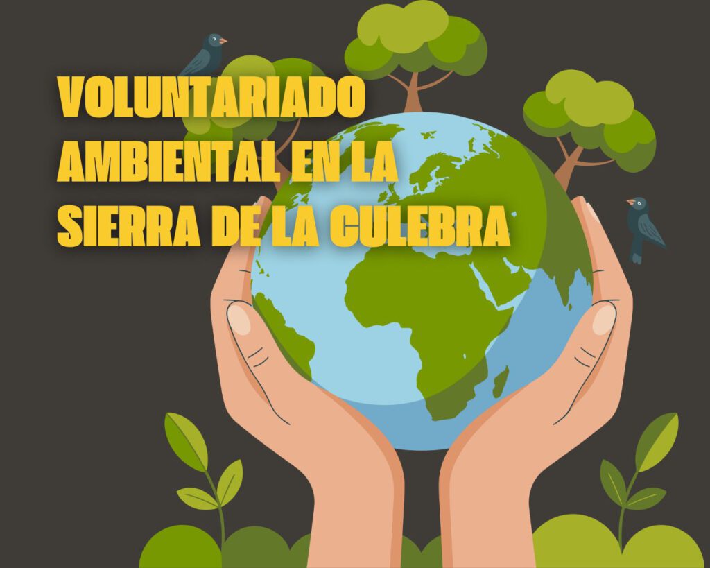 Reconstruyendo territorio es una actividad de voluntariado ambiental scout en la Sierra de la Culebra.