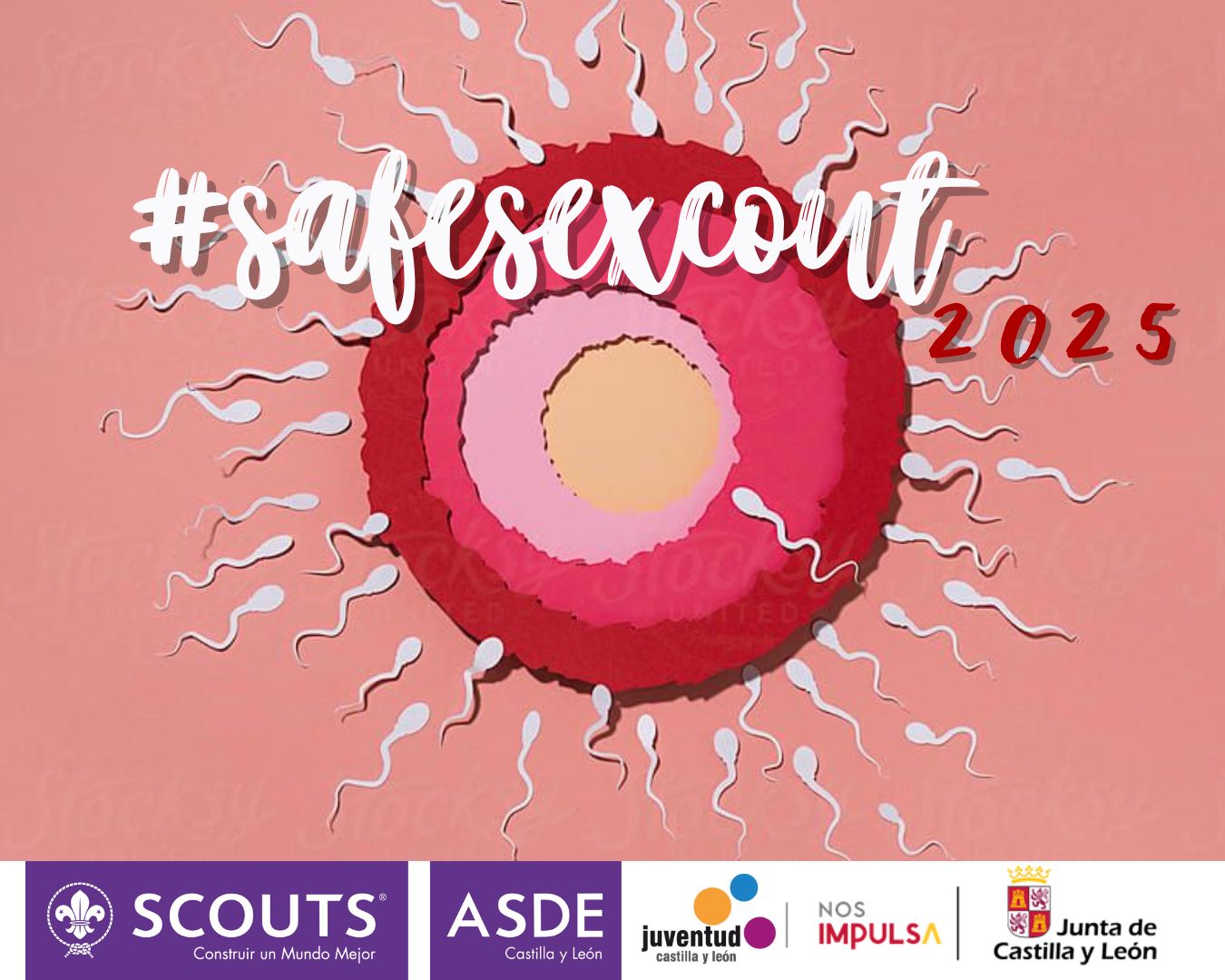 Safesexcout ASDE CyL