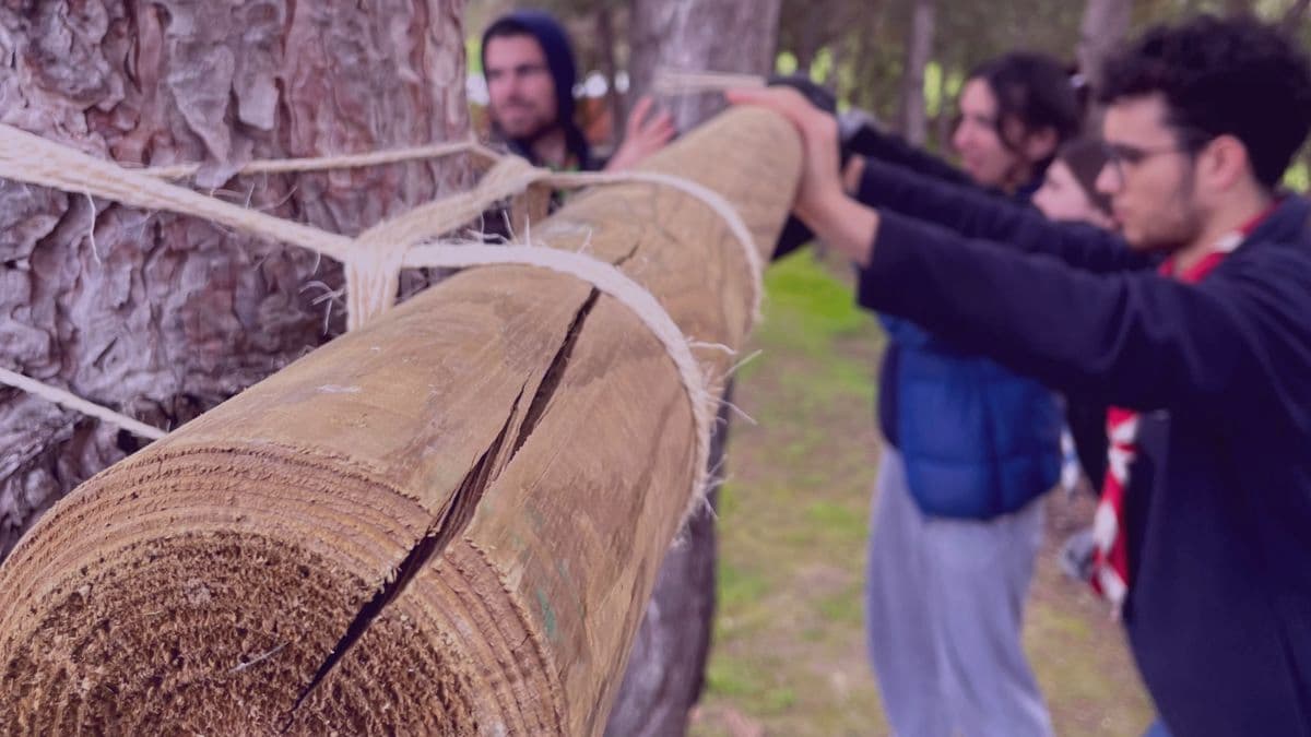 Raíces del mañana es un proyecto de ASDE Exploradores de Castilla y León y el Consejo de la Juventud de Castilla y León