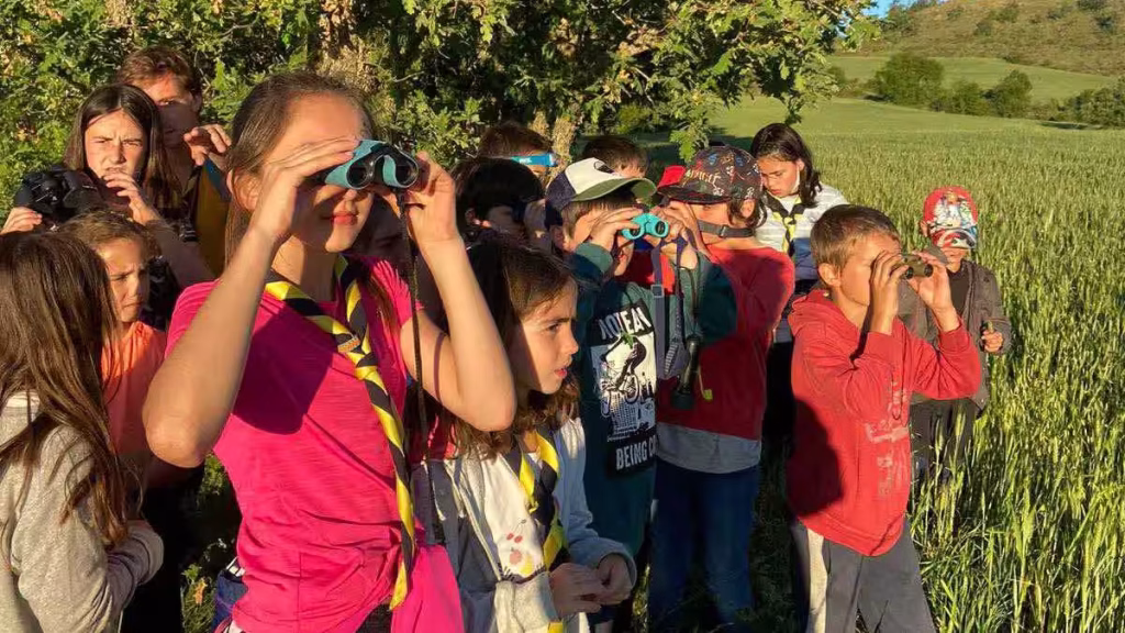 Terra Arroyo, Grupo Scout en Arroyo de la Encomienda - Valladolid
